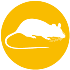 Pest Control Services In Hyderabad